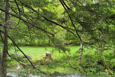 Casă cu 5 camere în Dejani - 7