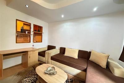 Garsonieră decomandată, mobilată în Vasile Aaron - 2