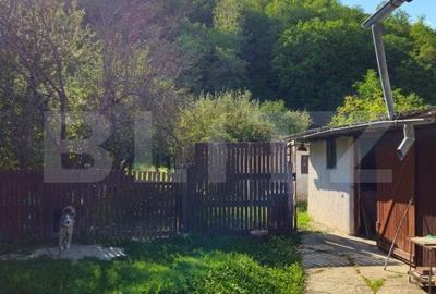 Casa spatioasa cu livada, intr-o zona linistia la 20 km de Targoviste - 4