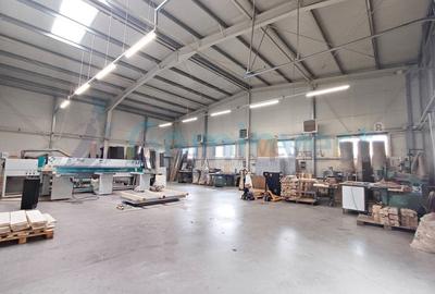 Spațiu industrial, de 1,290 mp, în Sălard - 4