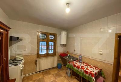 Vila cu potential de transformare in pensiune, 13 camere, Ti - 6