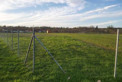 Casă cu 4 camere în Bichigi - 5