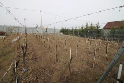Vand vila D+P+M  Sat Costi ( Floricultura) cu bransamente la utilitati -135.000E - 2