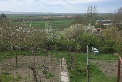 Casă cu 2 camere în Central - 8