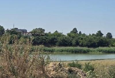 Teren intravilan – PUZ aprobat, utilitati 150m, asfalt - Ambient Lake Events - 1