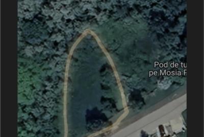 Teren Construcții intravilan de 700 mp, în Horlești - 5