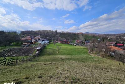 Spațiu comercial, în Coman - 4