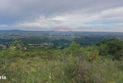 Spațiu comercial, în Central - 2