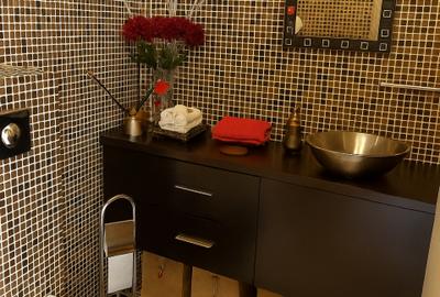 Duplex Penthouse Exclusiv 458,5 m²  Herastrau - 12
