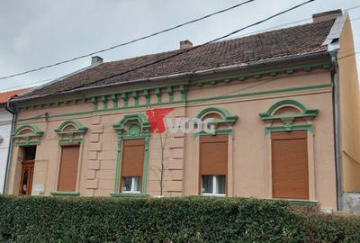 Casa individuala Zona-Balcescu - 1