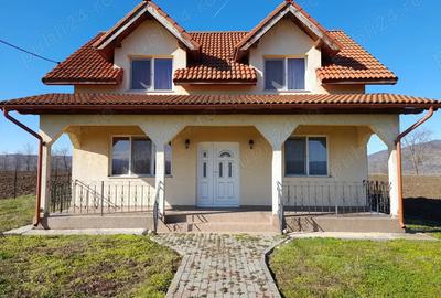 Casă cu Teren 3516 Mp în Aurel Vlaicu - 3