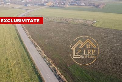 Dascalu-Creata-DC185-7900 mp intravilan, stradal - 2