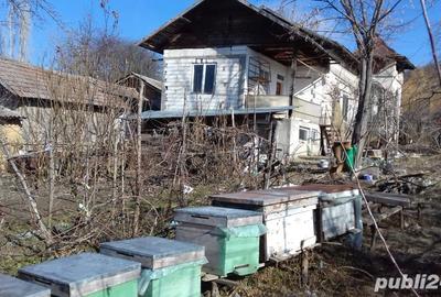 Casă cu 4 camere cu Teren 2000 Mp în Bujoreni - 4