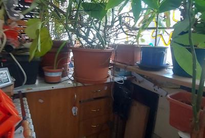 Apartament cu 4 camere decomandat în Vitanul Nou - 7