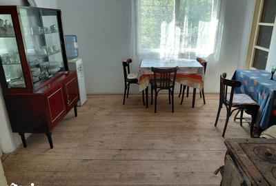 Casă cu 4 camere cu Teren 4327 Mp în Bârzava - 2