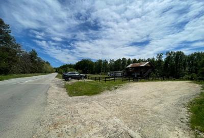 Teren *oportunitate investi?ie* in Carbune?ti-Sat - 10