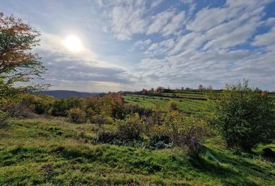 Teren de 18527 mp, în Cerbăl - 3