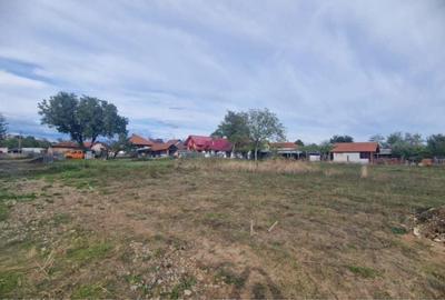 Teren de 700 mp, în Primăverii - 3