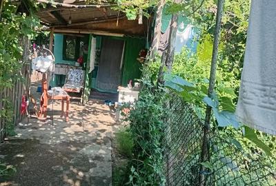 Casă cu Teren 1400 Mp în Țibănești - 4