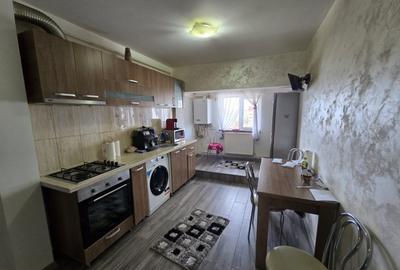 Apartament cu 2 camere semidecomandat, mobilat în Banat - 2