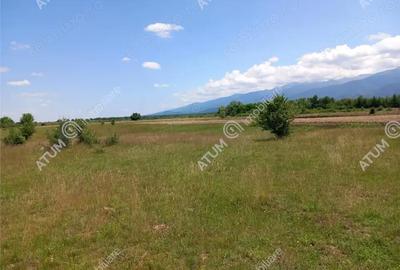 Teren de 5000 mp, în Avrig