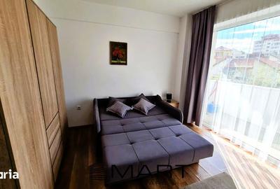 Garsonieră decomandată în Terezian - 8