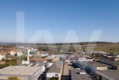 Complex Industrial de Vanzare – Zona Industriala, Cisnadie, Sibiu - 5