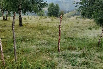 Teren de 8700 mp, în Bran