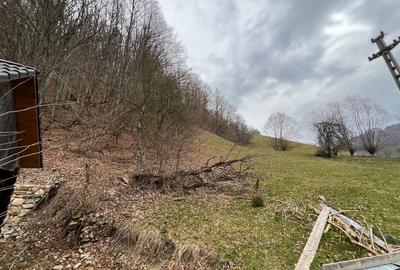 Teren de 12800 mp, în Remeți - 8