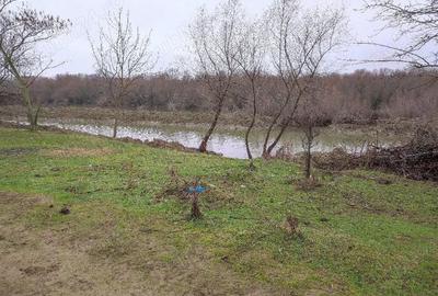 Teren de 8140 mp, în Băltenii de Jos - 6