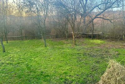 Teren intravilan 1.250 mp, drept, deschidere >20 ml, Dra - 8