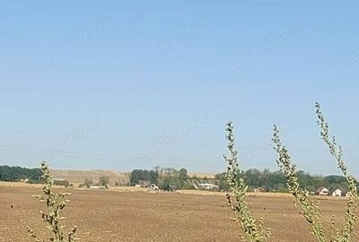 Teren de 8400 mp, în Central - 4