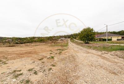 0% Comision!! TEREN INTRAVILAN - ARGESELU !! 0% Comision!! TEREN INTRAVILAN - ARGESELU !! - 7