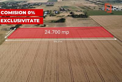 Teren Construcții intravilan de 24700 mp, în Pădureni (Jebel) - 1