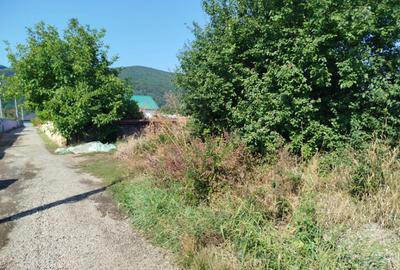 Casa pitoreasca de vanzare - 1