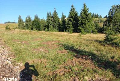 Teren de 700 mp, în Tiha Bârgăului - 9