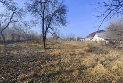 Teren de 2440 mp, în Podenii Vechi - 5