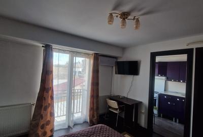 Apartament cu 1 camera, decomandat, zona Centru-Palas Campus - 2