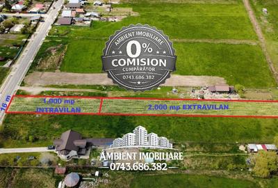 Teren agricol intravilan de 3000 mp, în Vest - 2