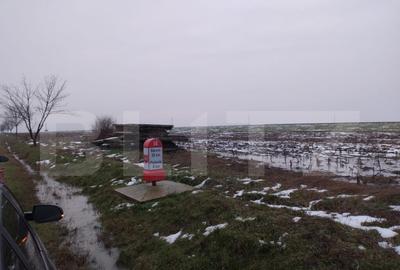 Teren de 10000 mp, în Central