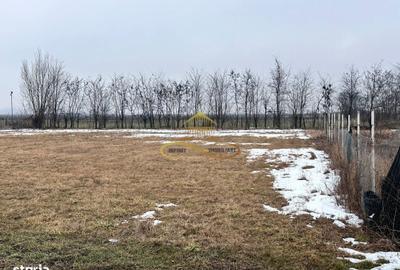 Teren de 900 mp, în Săucești - 4