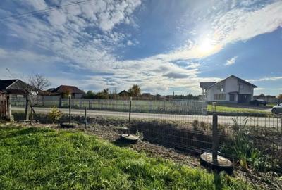 Teren de 20000 mp, în Bozânta Mare - 2