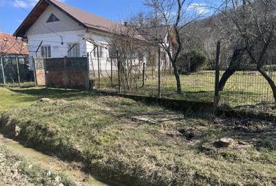 Casă cu 7 camere cu Teren 2650 Mp în Colțești - 10