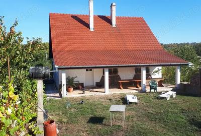 Casa mare de familie + casa secundara, teren 5500 m , 300 pomi Oradea, strada Prunilor - 2