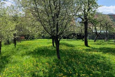 Casă cu 2 camere cu Teren 1305 Mp în Central - 5