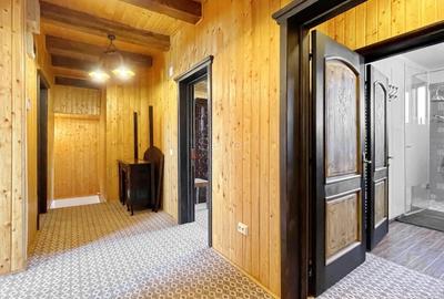 Complex de 3 case pe 18000 mp teren - 19