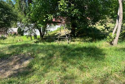 Teren 4996 mp zona de munte Comuna Arefu-Capataneni Arges - 2