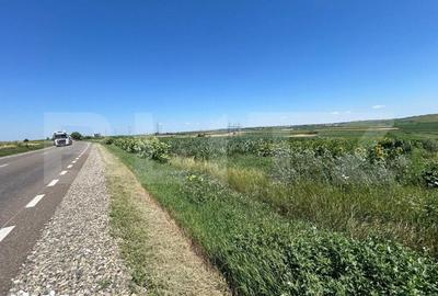 Teren de 10000 mp, în Bosanci