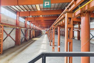 Hala industriala cu pod rulant ?i parcare betonata - 9