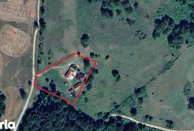 Casă cu 4 camere cu Teren 5000 Mp în Șuncuiuș - 3